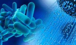 Legionella fogorvosi rendelő